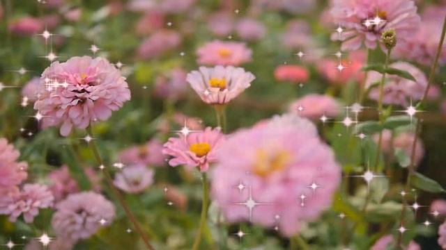 Шикарное Поздравление С Днем Рождения! НОВИНКА! Музыкальная Открытка на День Рождения! смотреть онлайн