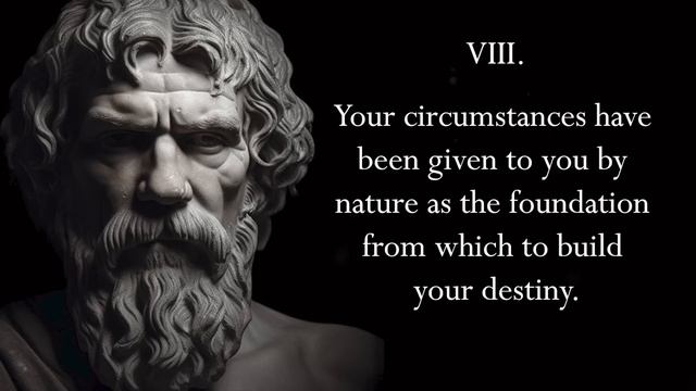 Stoic Laws for Dark Times