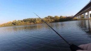Fario NT Morm.S 0.5-2 гр. Серая лошадка или универсал по умолчанию.