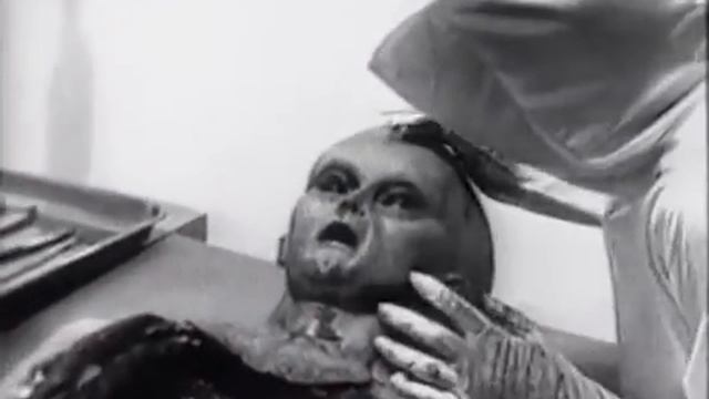 Вскрытие инопланетянина Alien Autopsy Fact or Fiction