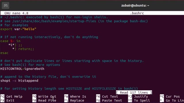 Linux Environment Variables смотреть онлайн