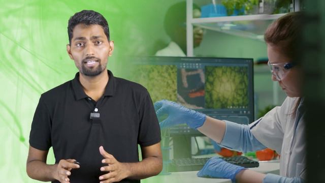 Secrets of Stevia: How to Earn Profits with Commercial Farming! смотреть онлайн