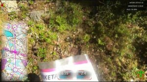 O-Ringen 2019 Etapp 3 (Orienteering Headcam)