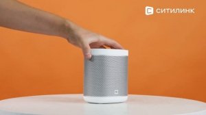 Обзор Умной колонки Xiaomi Mi Smart Speaker L09G | Ситилинк