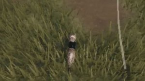 где находиться лунный камень?(коты воители)"WCUE"#wcue