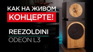 Новейшая напольная акустика Reezoldini Odeon L3
