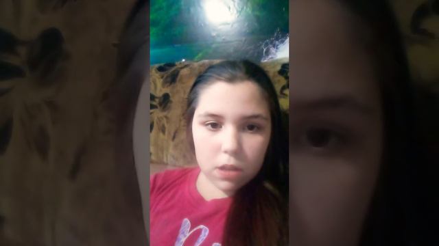 История котенка Дику. ( Стесняюсь говорить на камеру 😅 Не судите строго ). смотреть онлайн