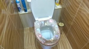 Чехол на седло унитаза с aliexpress!!! Мягкое место для мягких попок???