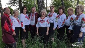 "А журавлі летять"( ой як роки летять)     Колектив Мальви