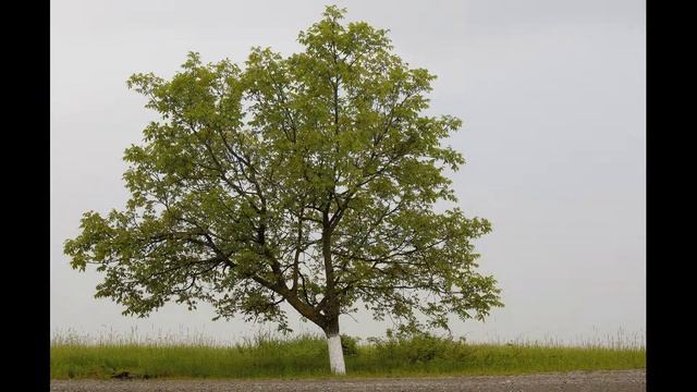 Красоты Исмаиллинского района, Азербайджан