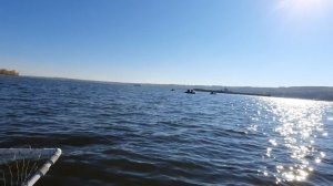 рыбалка на кольцо