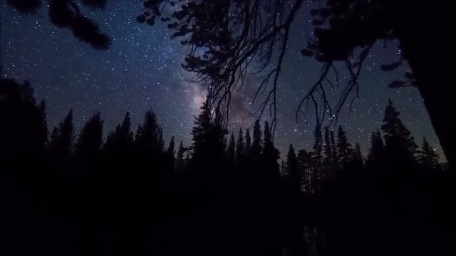 J.S. Bach /Matthäus Passion/. И.С. Бах - Страсти по Матфею, №47 Arie /Alt/. смотреть онлайн