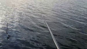 Ловля карася на большом озере! Весенняя рыбалка 2023!