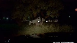 ??????Топ 5 самых страшных творений Тревора Хендерсона??????