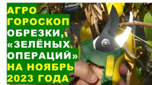 Агрогороскоп обрезки сада, "зелёных операций" в ноябре 2023 Agrohoroscope for garden pruning in Nove