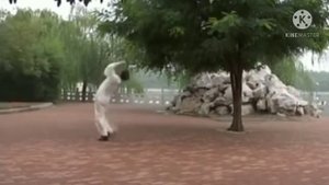 Техники Пигуацюань. Мяо дао.