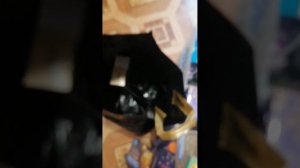 9 ноября 2023 г.