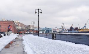 Набережная Цесаревича , сельдь для орланов. Владивосток
