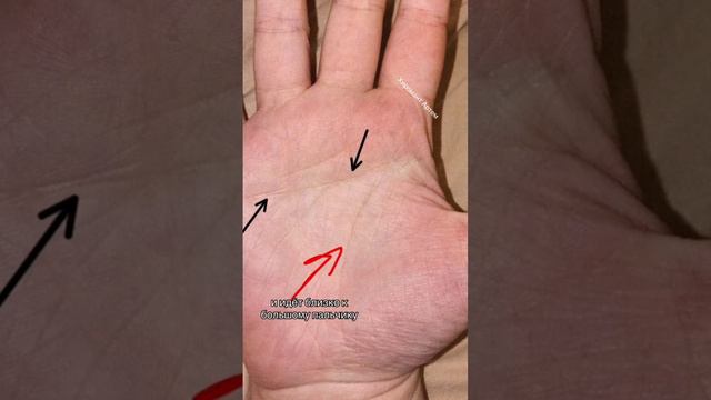 3 роковых знака на ладони - какая будет продолжительность жизни? #хиромантия  #судьба #линияжизни