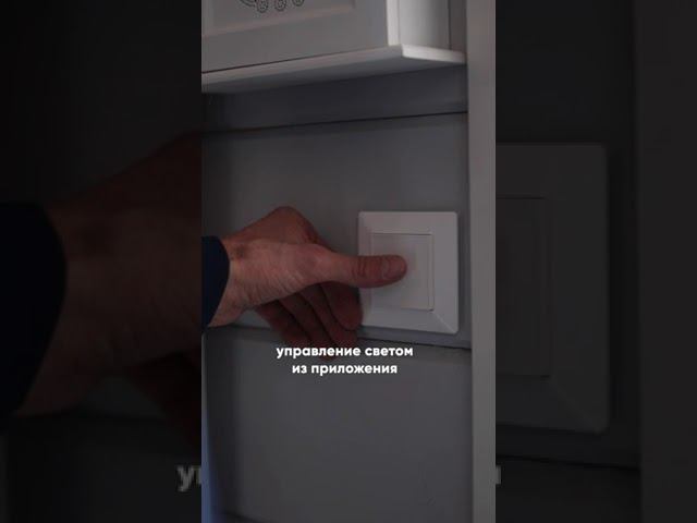 Добавьте голосовое управление светом меньше чем за день с HiTE PRO #shorts