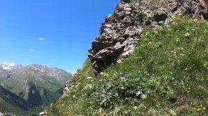 Учет тура Цахвоа 2022г