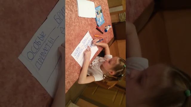 Паспорт кошки или кота смотреть онлайн