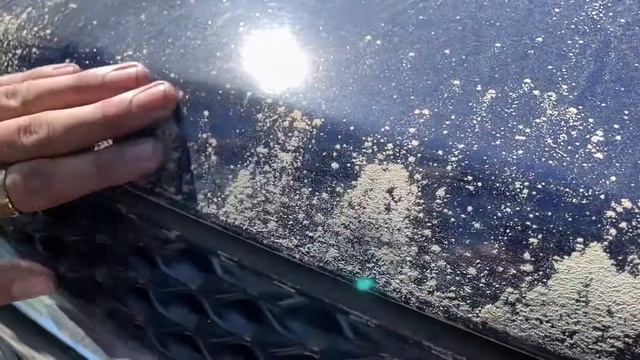 Pollen patrol смотреть онлайн