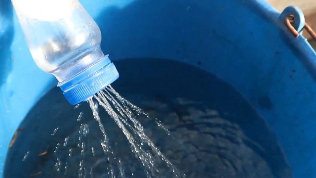 Mammillaria plumosa ??? [Ficha de cactus: DESCRIPCIÓN + CUIDADOS] смотреть онлайн