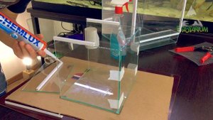 как склеить ТЕРРАРИУМ для паука птицееда СВОИМИ РУКАМИ