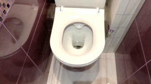 Отзыв на безободковый унитаз Cersanit street fusion clean on