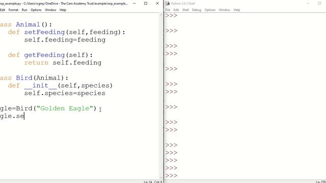 Inheritance in Python OOP