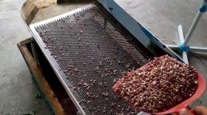 Станок для калибровки воздушной бульбочки чеснока.