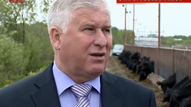 В нынешнем году Новгородская область планирует произвести 140 тысяч тонн мяса смотреть онлайн