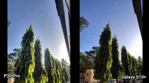 Huawei P30 Pro Vs Galaxy S10+ Camera Test