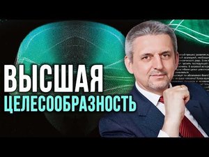 Любовь, справедливость и конкуренция. Сергей Сухонос.