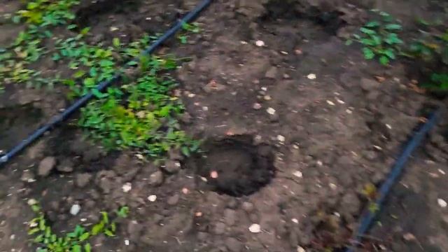 Кисловодск сегодня 2021  Долина Роз в октябре