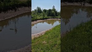 СПУСКАЮ ПРУД ПОЛНОСТЬЮ!
