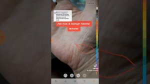 листок в конце линии жизни