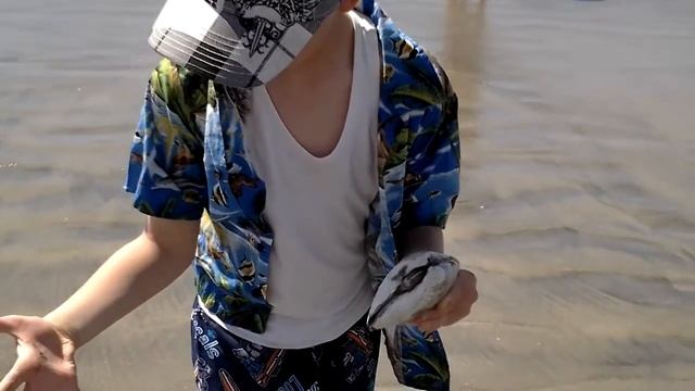 Океаническая ракушка...Сан Диего... смотреть онлайн