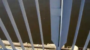 Пешеходный мост через Сож. Гомельский пляж.