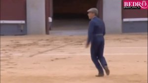 Plaza De Toros Las Ventas 2017: Corrida De Beneficencia - Toro De Victoriano Del Rio Devuelto