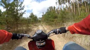 Прохват по лесу на мотороллере Муравей