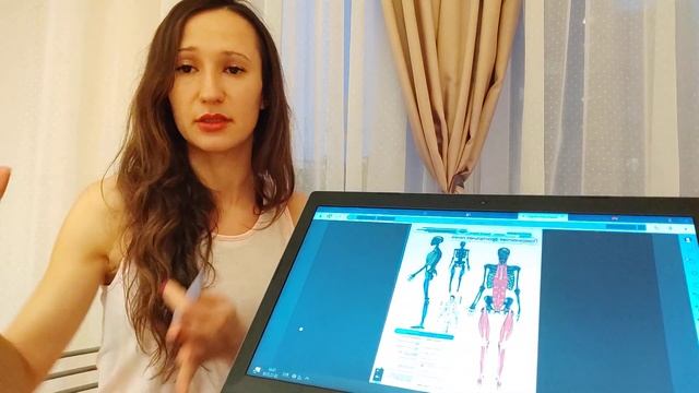 поверхностные линии тела человека