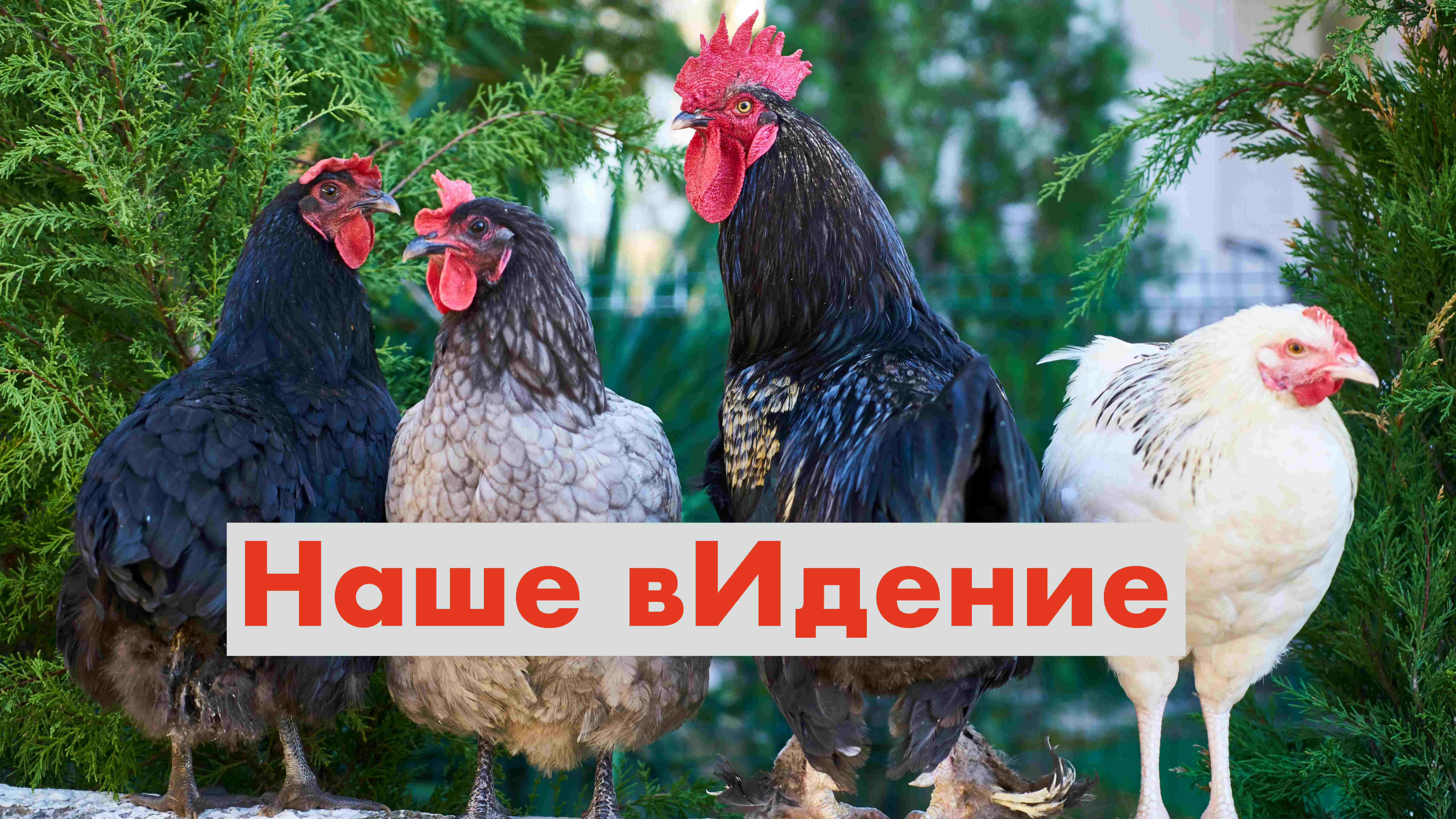 Германию пора съесть. Евросоюз на очереди...