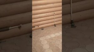 укладка шестигранной плитки со вставками