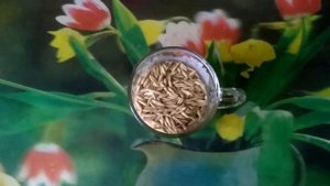 ???Овсяный отвар для восстановления слизистой ЖКТ