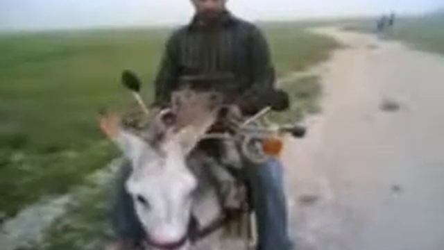 Такси акоргон смотреть онлайн