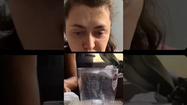 Удаленная пересадка орхидеи