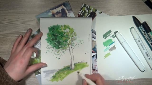11 урок - Быстрые зарисовки деревьев [Sketch School]