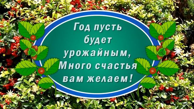 Поздравления с Ореховым Спасом! Ореховый Спас 2020! Хлебный Спас! Спас Хлебный и Ореховый!